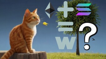 Sell, Buy or Hodl "W" (Wormhole) Token?