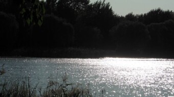A beautiful September day - I can't believe it's September - My Actifit Report Card: September 5 2024