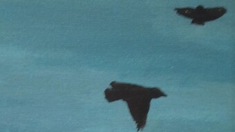 Crows