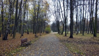 The weather quickly changed to winter, fortunately for a short time - My Actifit Report Card: November 19 2023