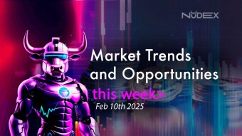 How can we prepare for the DeepSeek earthquake?