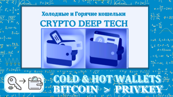 Cold Wallets and Hot Wallets how to find vulnerabilities and eliminate various attacks on the Blockchain