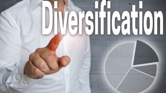 DIVERSIFY YOUR CRYPTO PORTFOLIO...    (7 SUGGESTIONS)