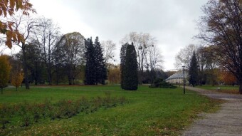 However, the not very nice weather did not discourage walkers. A lot of people relaxed outdoors today - My Actifit Report Card: November 12 2023