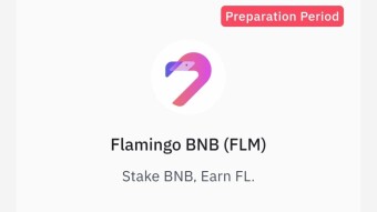 Flamingo ( FLM ) Farming Starts In 10 Hours On Binance Launchpool LeoFinance