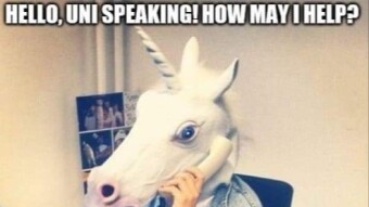 Newbie Quest: Understanding Uni(corns)