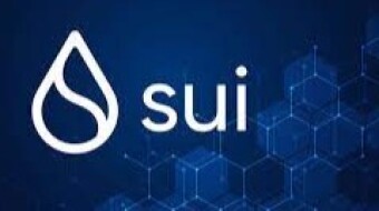 Sui Announces Allocation, but Without Airdrop