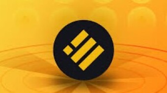 What is BUSD? Binance US Dollar.