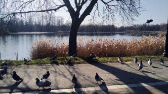 Spring is here, sunny and warm - My Actifit Report Card: March 5, 2026