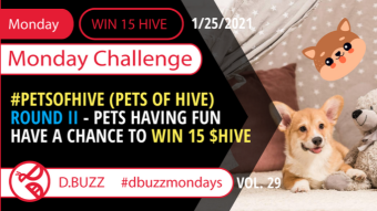 Win 15 HIVE >> Monday Challenge >> From D.Buzz (ROUND 29) -