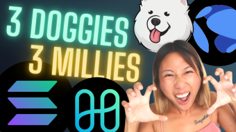 🔴 3 Dog coins 3 Chains 3 Millions $SAMO $KURO $DKWON