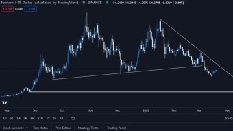 Fantom - Technical views and thoughts