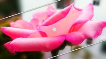 Do you know what is the meaning of EID ? Eid is the combination of 3 meaningful words