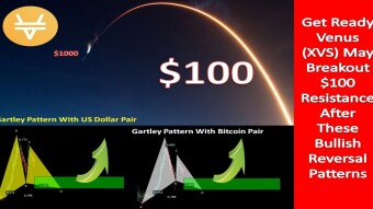 Get Ready Venus (XVS) May Breakout $100 Resistance After These Bullish Reversal Patterns