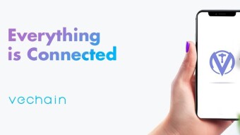 How I got into VeChain