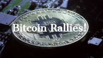 Highly Volatile Bitcoin's Resiliency In These Highly Volatile Times