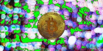 Top 5 Nonprofits (NGOs) that Accept Cryptocurrency as Donation