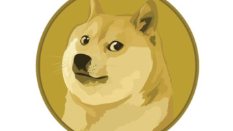 DogeCoin, Bitcoin, and All Coins Follow the Stonks...
