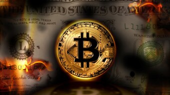 Earn Interest on Bitcoin, Stablecoins and other Alts on These Platforms