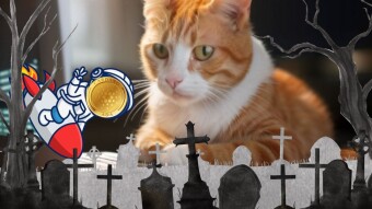 Will Cardano Survive the Next Crypto Cycle? The Decentralization Dilemma and Adoption Abyss