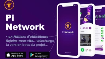 8 REASONS FOR FORMULING THE PINETWORK PROJECT WILL SUCCESSFULLY.