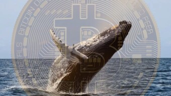 The BTC Whales & HardForks
