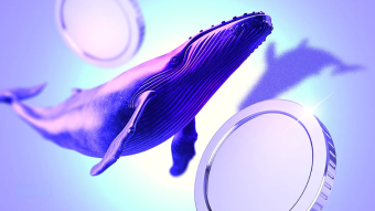 What Crypto Whales Are Buying After Trump’s 100% China Tariffs Crashed The Market?