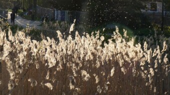 Pleasant day spent mostly cycling away from the crowds - My Actifit Report Card: April 30 2023