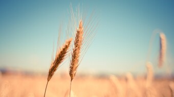 WFP and Zimbabwe Say At Least 7.6 Million Have Fallen into Poverty in 2020