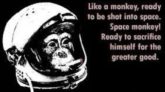 Space Monkeys