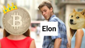Is Elon Musk already looking for a new Best Friend?