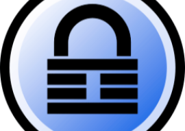 How you can have your passwords in a safe place.