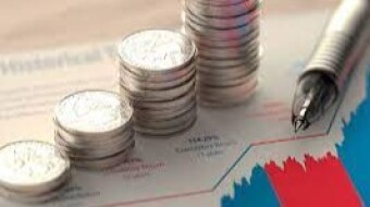 The Importance Of Diversification.