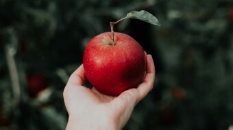 "An Apple A Day, they said. Keeps the doctor away they said - But now I say, An apple almost killed me today."