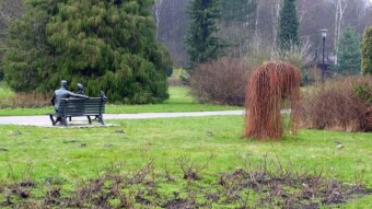 Cloudy but warm, another foggy spring day - My Actifit Report Card: March 1 2024