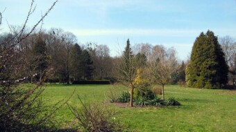 Today is the first day of astronomical spring - a long walk in the park - My Actifit Report Card: March 20 2024