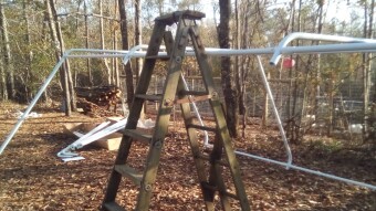 Apocalyptic Homesteading (Day 43)