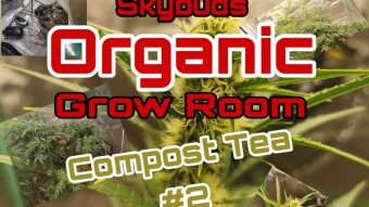 Skybuds Organic Grow Room #46 - Organic Tea Part 2