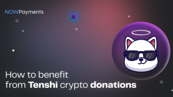 How to Benefit from Tenshi Crypto Donations