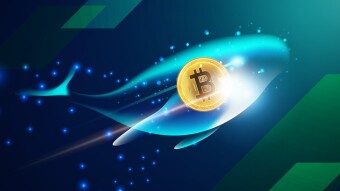 While some panic, others buy up Bitcoin