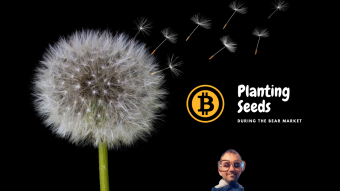 Planting Seeds During The Crypto Bear Market