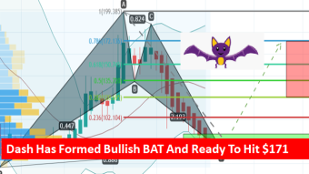 With The Help Of BAT Pattern Dash Is Ready to Breakout The Triangle To Hit $171 Soon