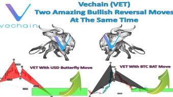 Vechain (VET) Two Amazing Bullish Reversal Moves At The Same Time