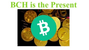 Bitcoin Cash Price has been around USD 500