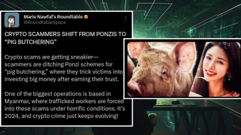 Romance Gone Wrong: The Sinister World of Pig-Butchering Scams!