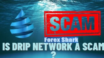 Is Drip Network A Ponzi? Is Forex Shark A Scammer?