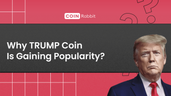 TRUMP Coin Crypto. Donald Trump Meme Coin’s Rise Explained