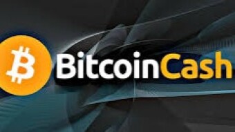 Love bitcoin? Buy Bitcoin cash.