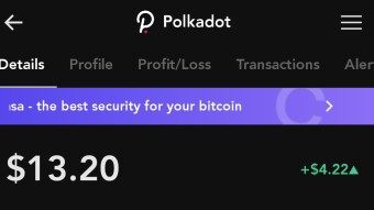 Polkadot keep rising