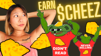 🧀 Moarrr $CHEEZ !! CheeseDAO
